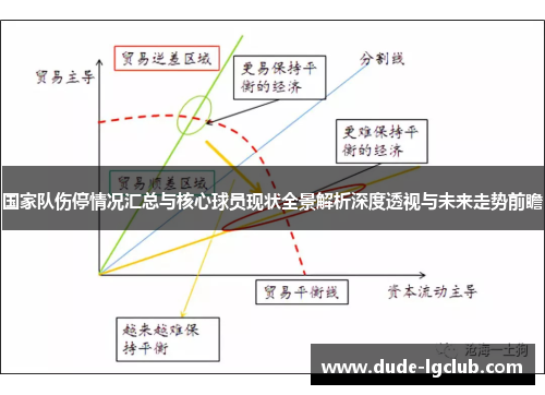 国家队伤停情况汇总与核心球员现状全景解析深度透视与未来走势前瞻 国家队伤停情况汇总与核心球员现状全景解析深度透视与未来走势前瞻
