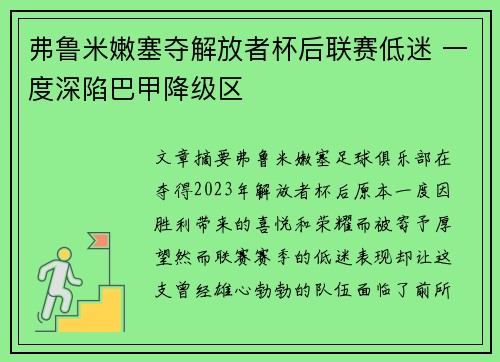 弗鲁米嫩塞夺解放者杯后联赛低迷 一度深陷巴甲降级区 弗鲁米嫩塞夺解放者杯后联赛低迷 一度深陷巴甲降级区